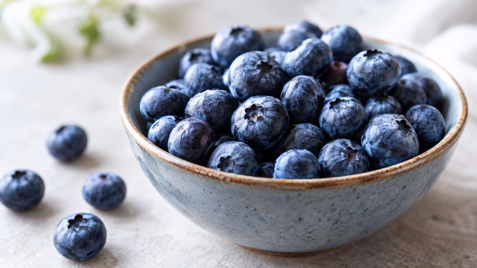 A ceramic bowl filled with blueberries.