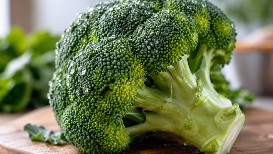 A close view of fresh broccoli.